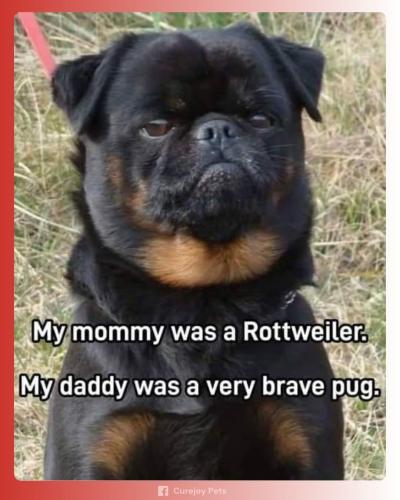 FB_IMG_1742767800539