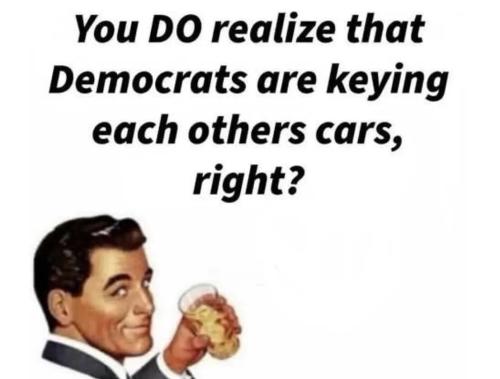 demsVdems