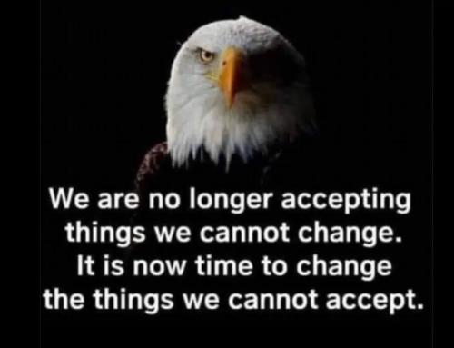 971cf67b-6277-4e3c-9c6b-ef4e3ad0cb0a_884x678