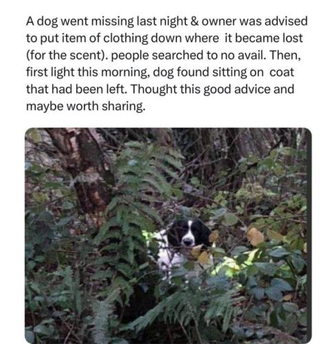 2CD8B996-4C8C-4061-9740-8ADF4A7D2030