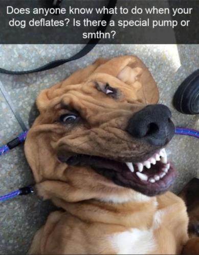 Screenshot_20250308_065655_Gallery