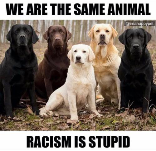 5d56c675-971f-48ba-98d6-94d21dd42908