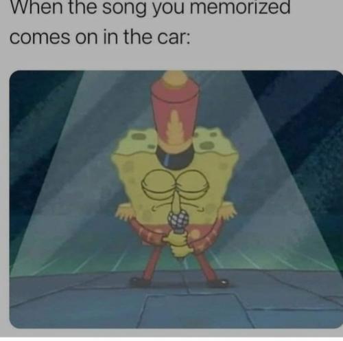 Screenshot_20250301_070024_Gallery