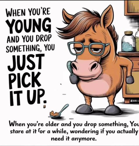 773821D9-DF08-4CCC-9E8A-AEE6982E8C87