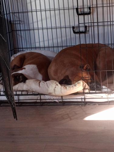 IMG_20250302_083932774