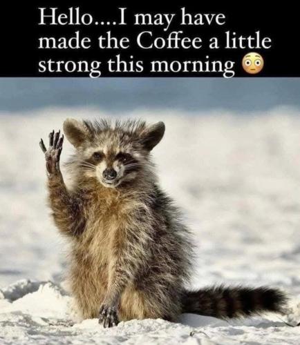 73254996-2c50-4b1d-847c-27a7b5ee6bab