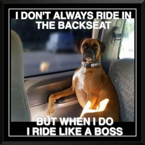 FB_IMG_1742086754213