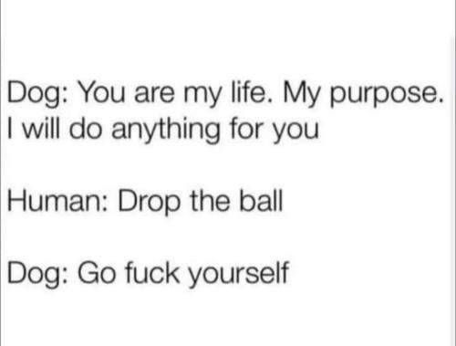 image_87BC2F69-942C-40B6-B235-578A52615C44