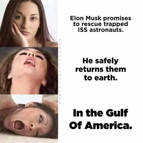 image_2025-03-23_094457257