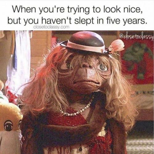 IMG_20250308_102500_119