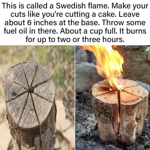 1B906C26-F441-411C-9C6E-EAC20F03F6B2