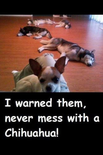 FB_IMG_1741803455687