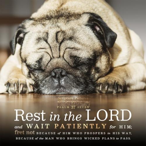 psa-37-7-KJV-pixabay