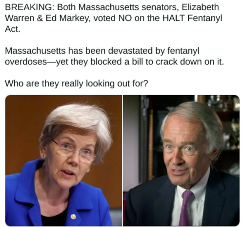 image_2025-03-15_090351849