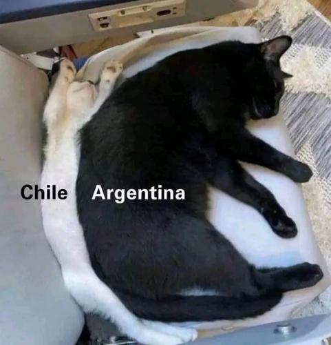 e8fa5e1c-d63b-4a52-99b4-df56160b5920