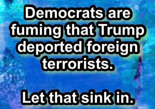 FB_IMG_1742248588252