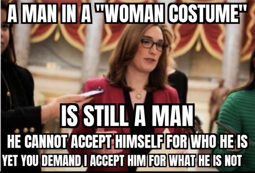 ZomboMeme 12032025084726