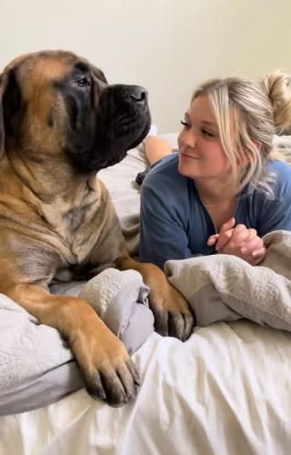 FB_IMG_1742548379107