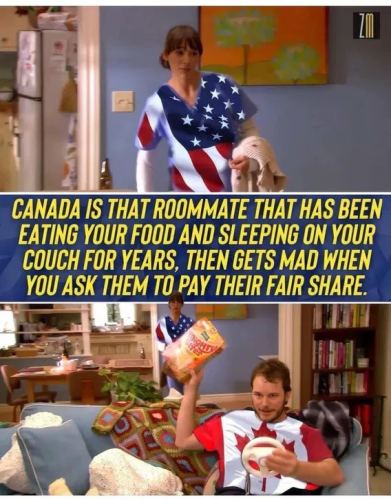 image_2025-03-31_062321950