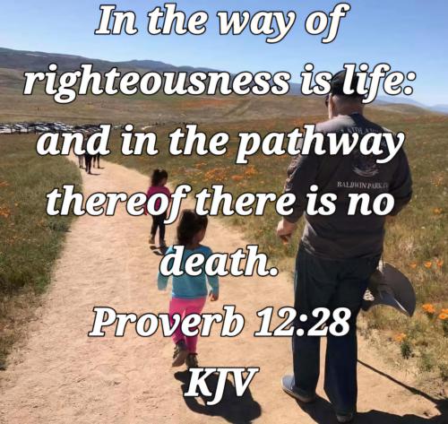 f1795184-36e8-4d43-b283-88c746bdd292