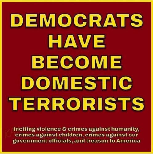 56E84E4F-C8EE-4311-9B89-E5DED8002A4F