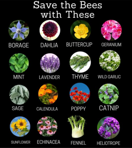 Screenshot 2025-03-11 195336