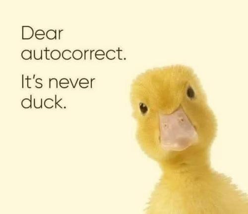 IMG_20250328_123600_553