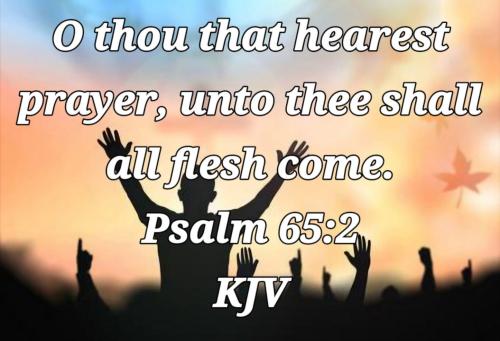 25bf5357-e070-45bb-a491-dec6f88a5a64