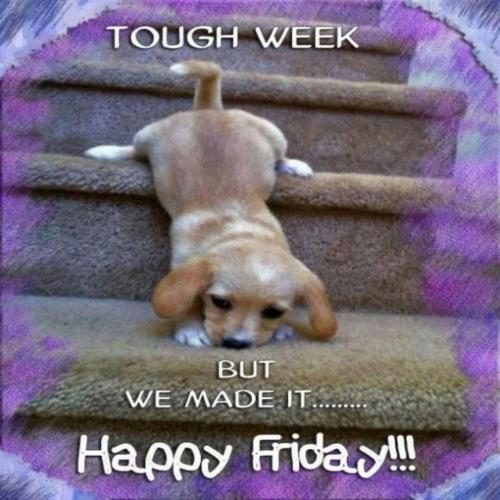 FB_IMG_1741949091867