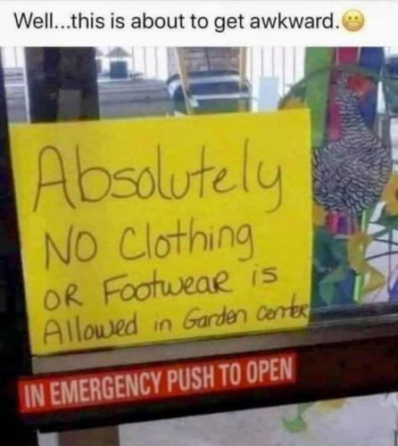 FB_IMG_1741463101324