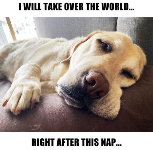 FB_IMG_1744643970098