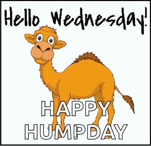 1-Hump Day