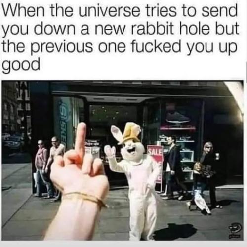 493254936_4135982623394798_5636218520040316306_n