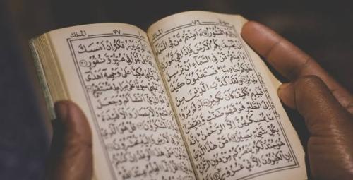 Cropped_Image_20250409_123746