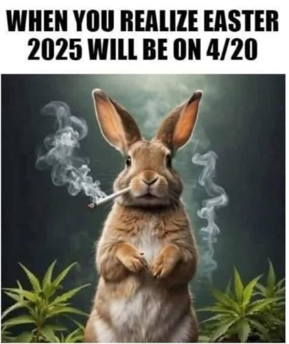 photo_2025-04-01_22-17-06