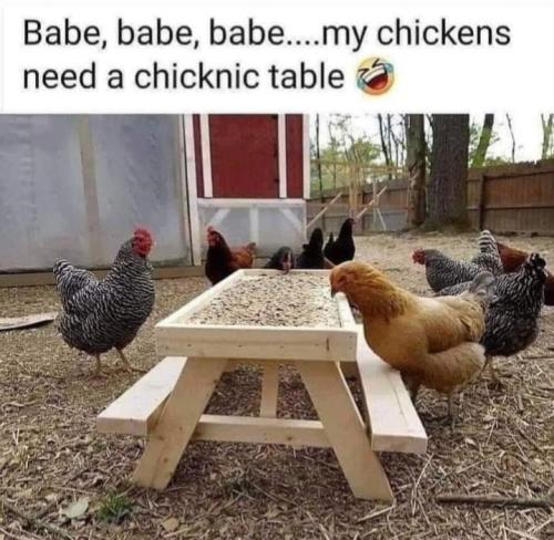 Screenshot_20250426_122347_Gallery