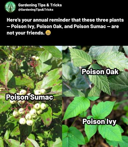 855AB521-6CF1-404D-93D6-731D5D13BC79