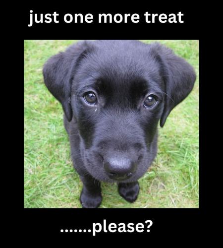 FB_IMG_1743622018823