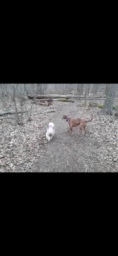 Screenshot_20250403_214537_Photos