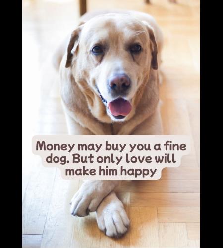 FB_IMG_1744832598895