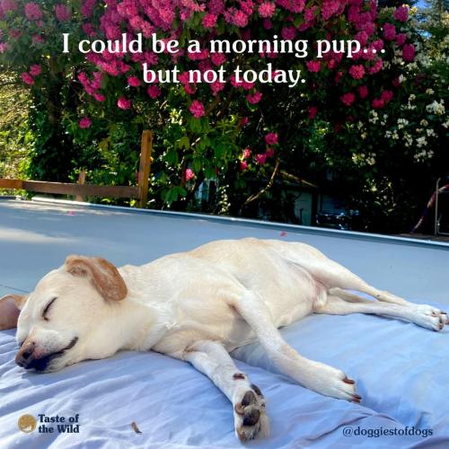 FB_IMG_1744734180817