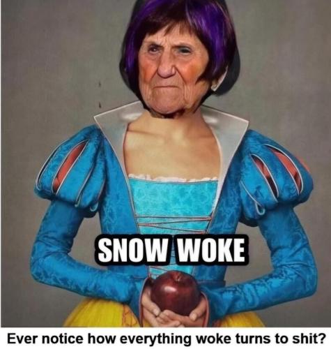 46bccfa0-22b7-4db9-9a81-9b4d2615720e