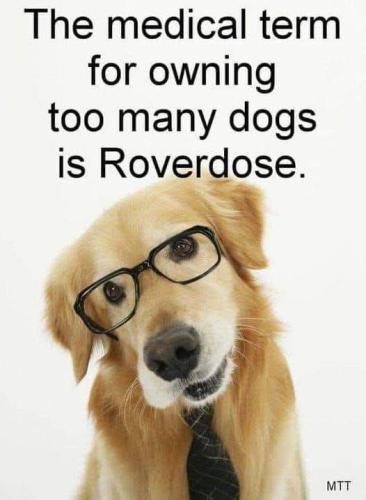 FB_IMG_1745851878369