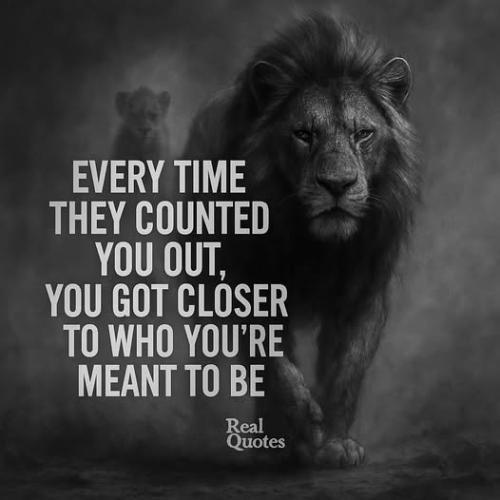 490536165_122162181800365267_4919801754620069540_n