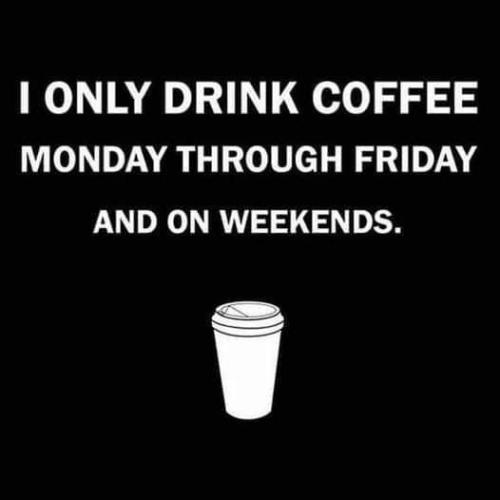 493260786_1430606091245092_7550887564129437904_n