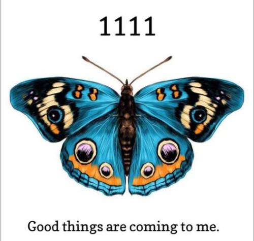 489923329_601882816212881_8669358028411923170_n