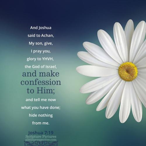 jos-7-19-JPS-pixabay