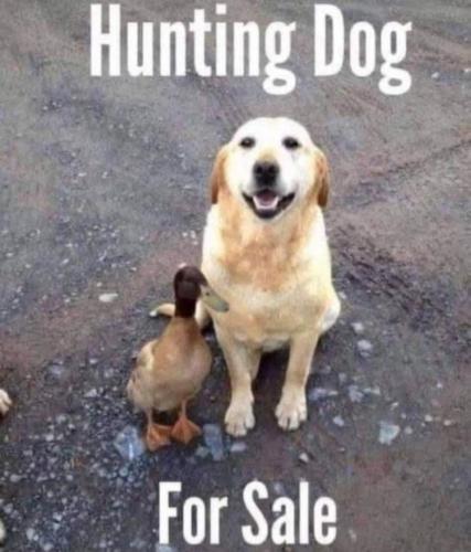 FB_IMG_1744733637157