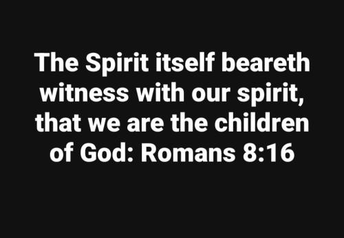 211d1d87-cd9a-4586-bdd6-1135909f1cdd