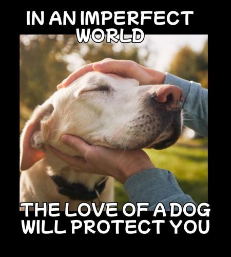 FB_IMG_1744642614888